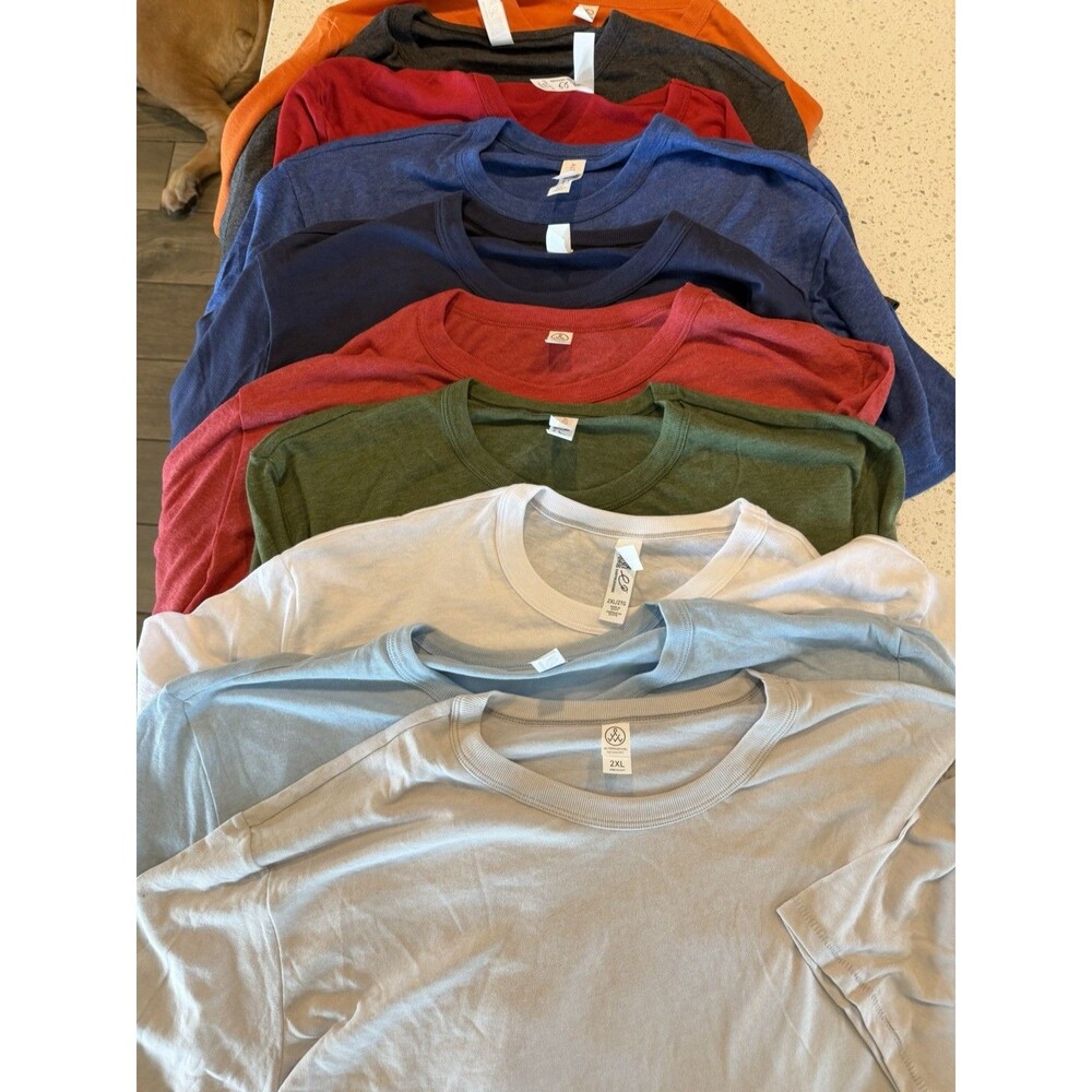 Alternative Apparel Keeper T Shirt 10 Pack Mens Soft Crewneck  2XL Bundle